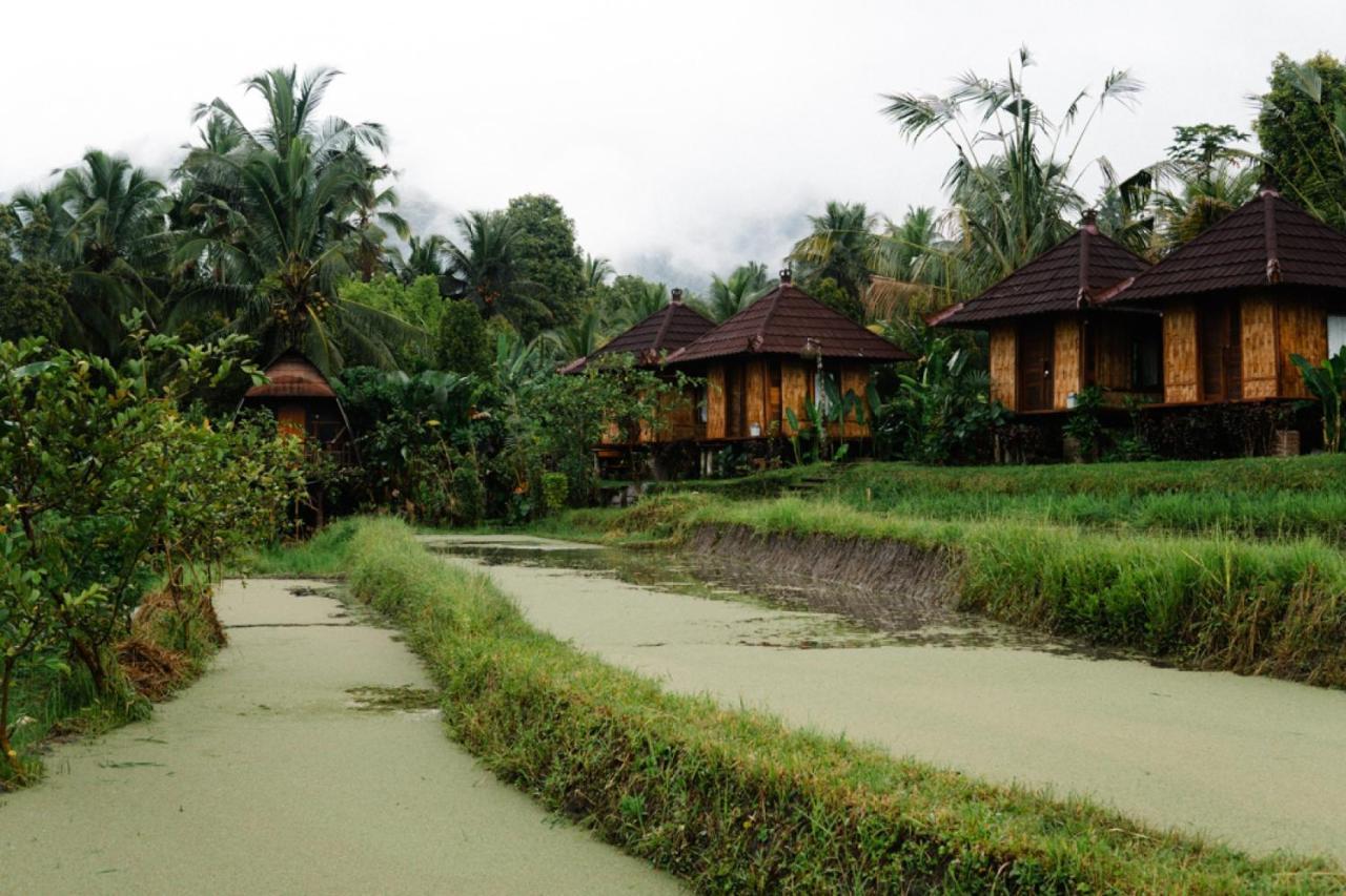 Puri Sunny Camp Villa Munduk Екстериор снимка