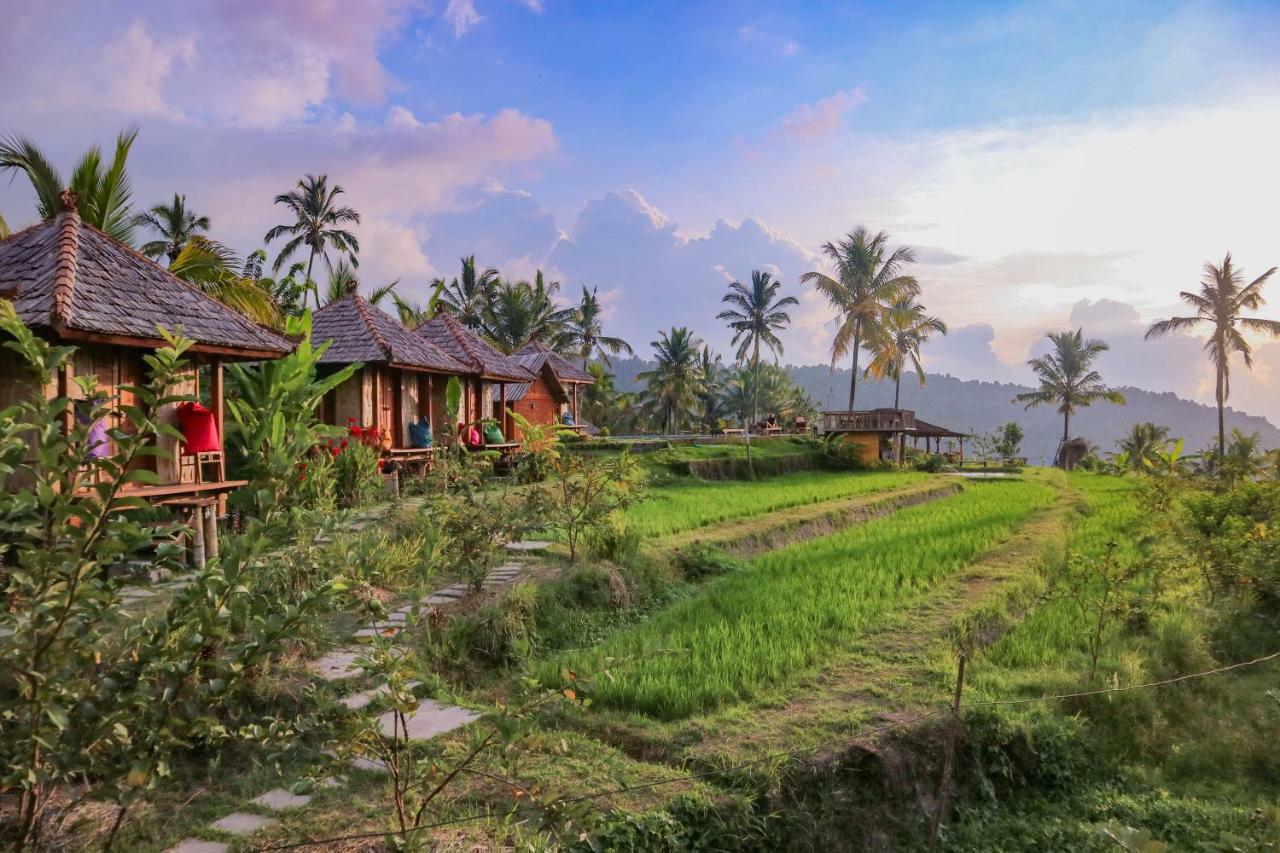 Puri Sunny Camp Villa Munduk Екстериор снимка